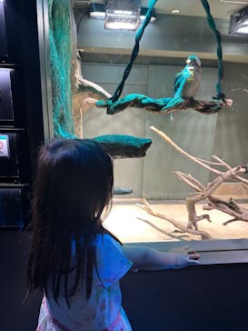 カワスイ 川崎⽔族館に投稿された画像（2023/5/6）