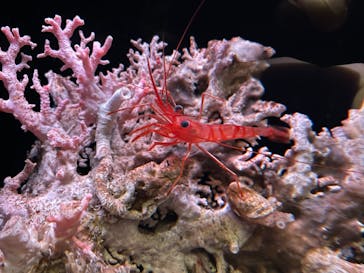 環境水族館アクアマリンふくしまに投稿された画像（2023/5/6）