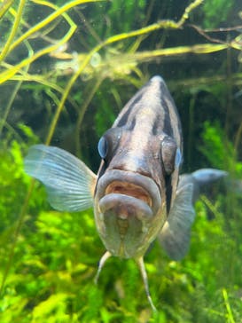 環境水族館アクアマリンふくしまに投稿された画像（2023/5/6）