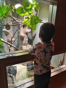 カワスイ 川崎⽔族館に投稿された画像（2023/5/6）