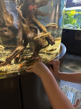 カワスイ 川崎⽔族館に投稿された画像（2023/5/6）