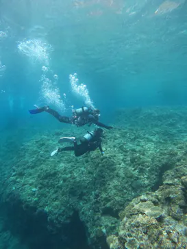 武藤潜水に投稿された画像（2023/5/6）
