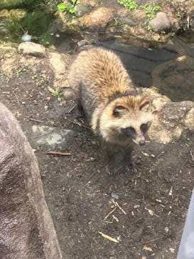 環境水族館アクアマリンふくしまに投稿された画像（2023/5/6）