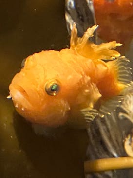 環境水族館アクアマリンふくしまに投稿された画像（2023/5/6）