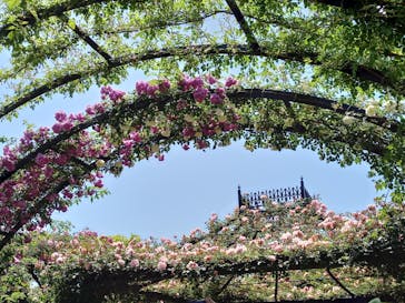 横浜イングリッシュガーデンに投稿された画像（2023/5/6）