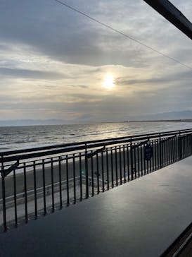 新江ノ島水族館に投稿された画像（2023/5/6）