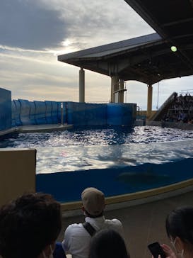 新江ノ島水族館に投稿された画像（2023/5/6）