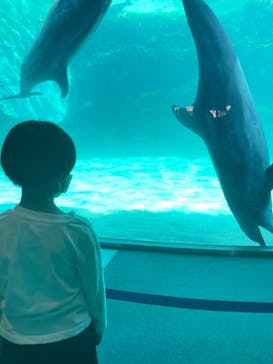 名古屋港水族館に投稿された画像（2023/5/6）