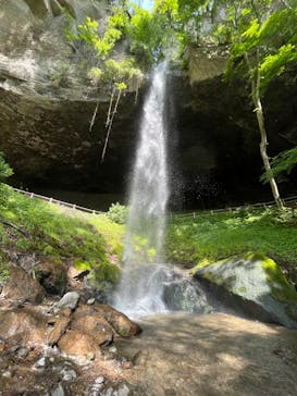 ジャパンだるまツアーに投稿された画像（2023/5/6）