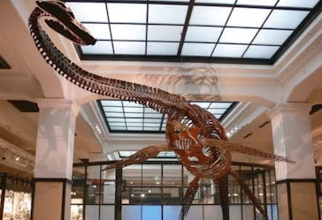 国立科学博物館に投稿された画像（2023/5/6）