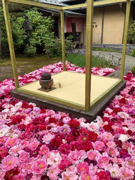 日本庭園　由志園に投稿された画像（2023/5/6）