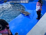 大分マリーンパレス水族館 「うみたまご」に投稿された画像（2023/5/6）
