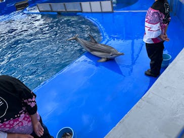 大分マリーンパレス水族館 「うみたまご」に投稿された画像（2023/5/6）