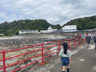 串本海中公園水族館に投稿された画像（2023/5/6）