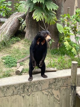 沖縄こどもの国に投稿された画像（2023/5/6）