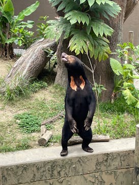 沖縄こどもの国に投稿された画像（2023/5/6）