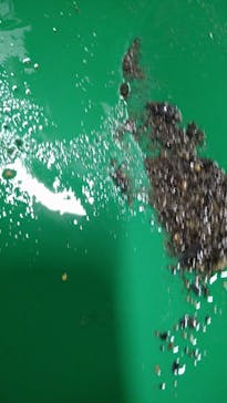 土肥金山に投稿された画像（2023/5/6）