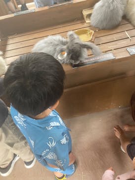 那須どうぶつ王国に投稿された画像（2023/5/6）