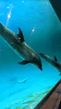 名古屋港水族館に投稿された画像（2023/5/6）