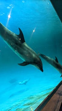 名古屋港水族館に投稿された画像（2023/5/6）
