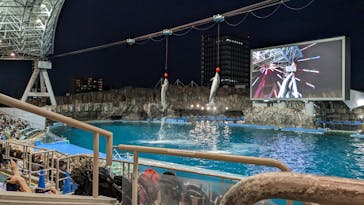 名古屋港水族館に投稿された画像（2023/5/6）