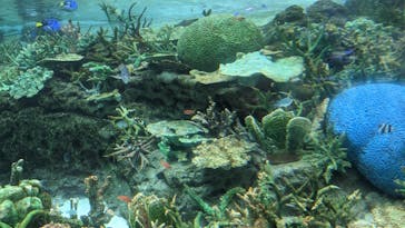 名古屋港水族館に投稿された画像（2023/5/6）