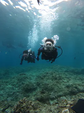 武藤潜水に投稿された画像（2023/5/6）