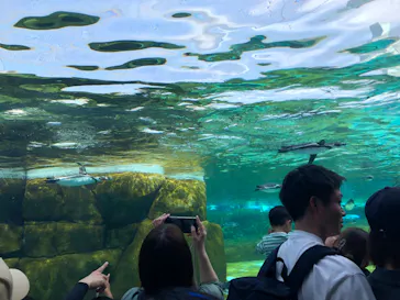 天王寺動物園に投稿された画像（2023/5/6）