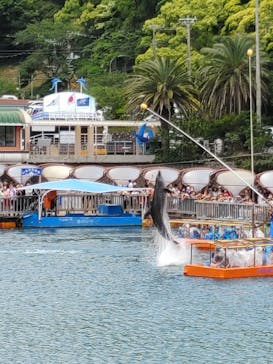 下田海中水族館に投稿された画像（2023/5/6）