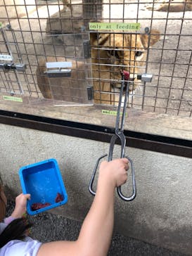 群馬サファリパークに投稿された画像（2023/5/6）