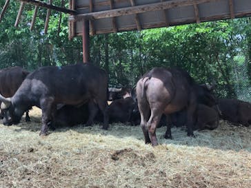 群馬サファリパークに投稿された画像（2023/5/6）