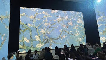 ゴッホ・アライブ神戸に投稿された画像（2023/5/6）