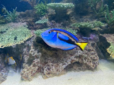 マリンワールド海の中道に投稿された画像（2023/5/6）