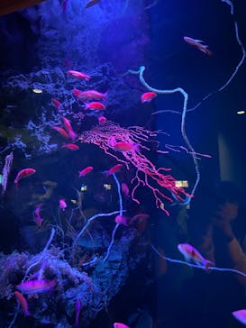 マリンワールド海の中道に投稿された画像（2023/5/6）