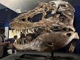 特別展「恐竜博2023」に投稿された画像（2023/5/6）