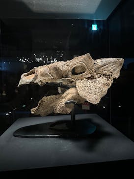 特別展「恐竜博2023」に投稿された画像（2023/5/6）