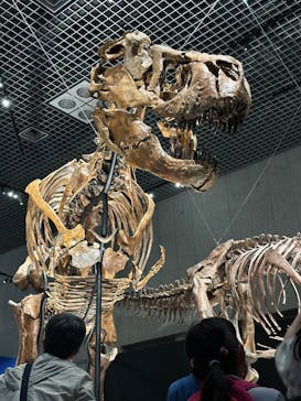 特別展「恐竜博2023」に投稿された画像（2023/5/6）