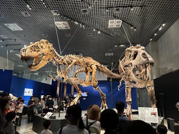 特別展「恐竜博2023」に投稿された画像（2023/5/6）