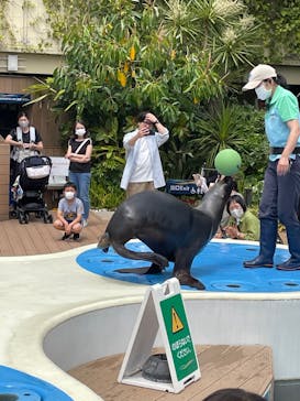 サンシャイン水族館に投稿された画像（2023/5/6）