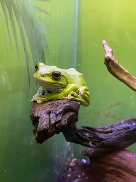 サンシャイン水族館に投稿された画像（2023/5/6）