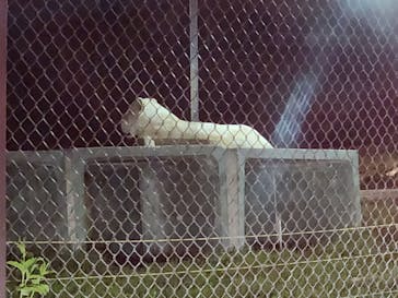 那須サファリパークに投稿された画像（2023/5/6）