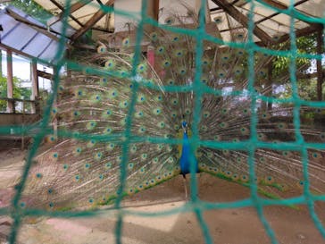 IPCわんわん動物園に投稿された画像（2023/5/6）