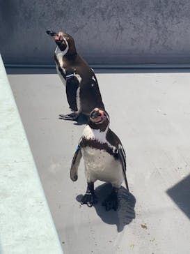 南知多ビーチランド＆南知多おもちゃ王国に投稿された画像（2023/5/6）