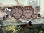 仙台うみの杜水族館に投稿された画像（2023/5/6）