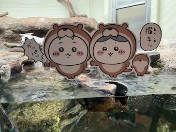 仙台うみの杜水族館に投稿された画像（2023/5/6）