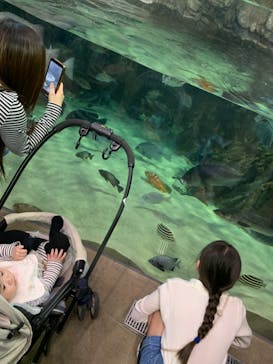 島根県立 しまね海洋館に投稿された画像（2023/5/6）