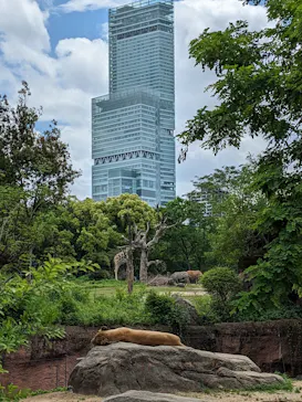 天王寺動物園に投稿された画像（2023/5/6）