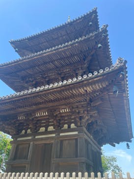 三溪園に投稿された画像（2023/5/6）