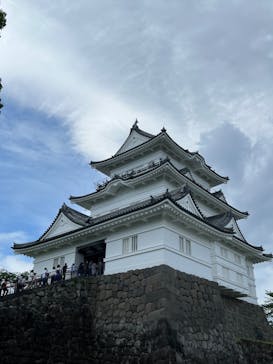 小田原城に投稿された画像（2023/5/6）