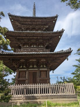 三溪園に投稿された画像（2023/5/6）